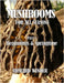 Mushrooms For All Seasons: Part 1 Beginnings & Springtime by Winder, Richard