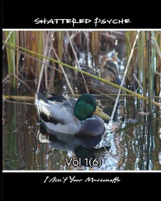 Shattered Psyche Vol 1(6) by Thomas Halloran