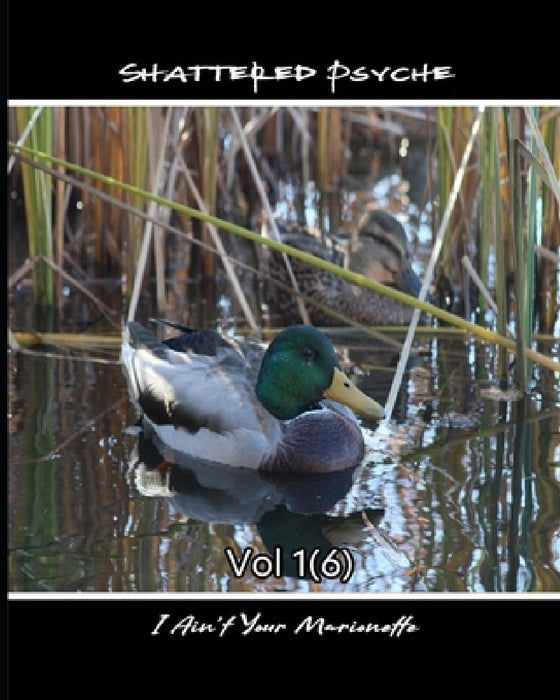 Shattered Psyche Vol 1(6) by Thomas Halloran