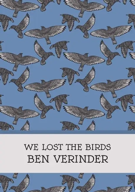 We Lost the Birds by Ben Verinder