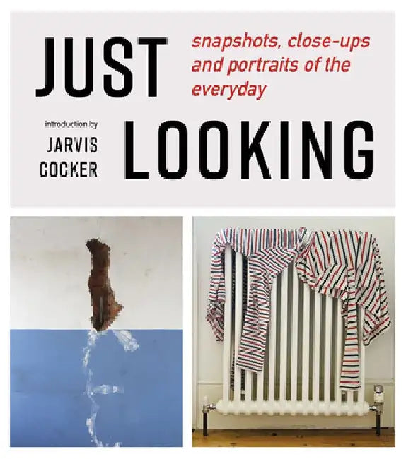 Just Looking by Julian Rothenstein