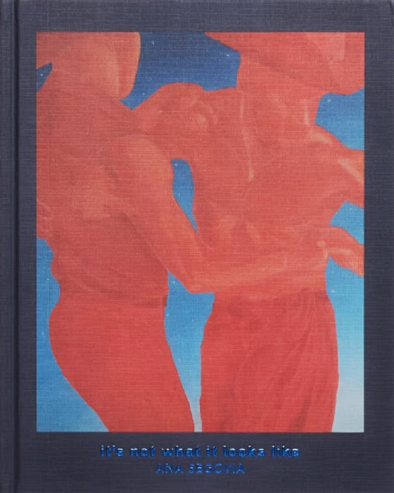 It's Not What It Looks Like by Ana Segovia