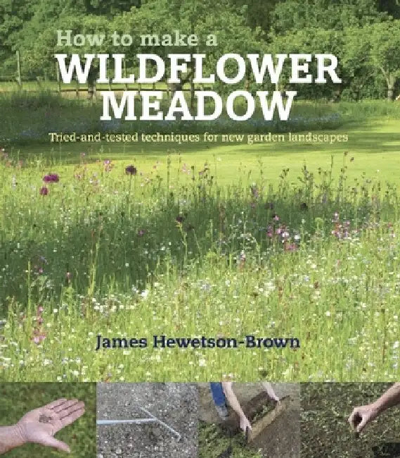 How to Make a Wildflower Meadow: Tried-And-Tested Techniques for New Garden Landscapes by James Hewetson-Brown
