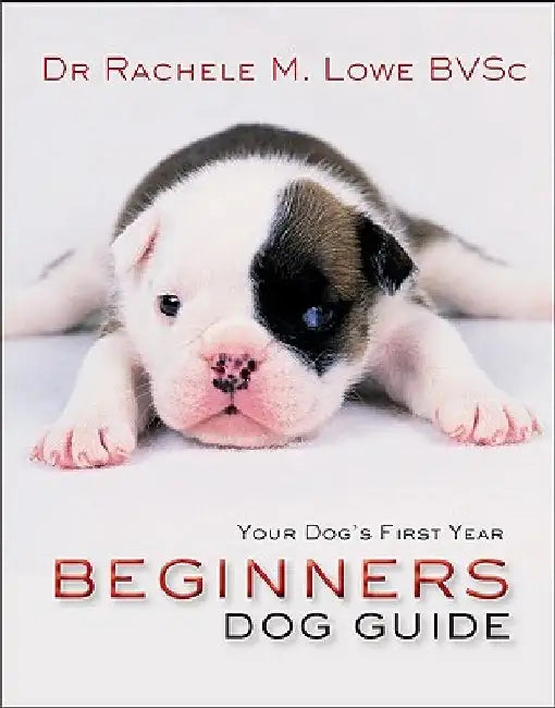 Beginner's Dog Guide by Rachelle M. Lowe