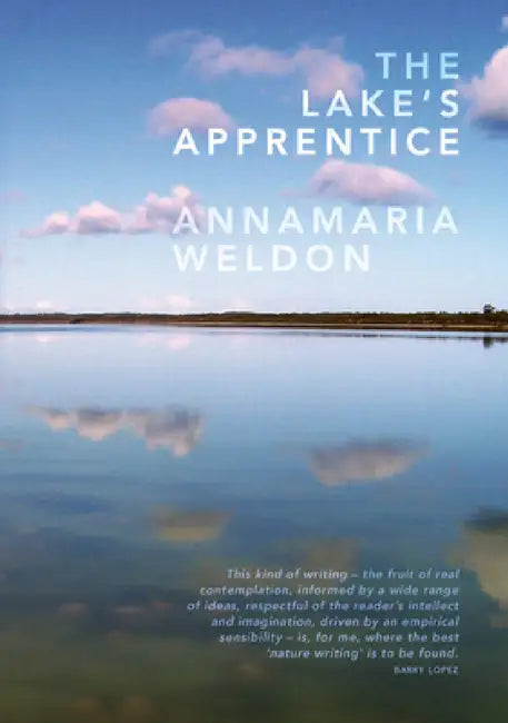 The Lake's Apprentice by Annamaria Weldon
