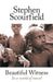Beautiful Witness by Stephen Scourfield