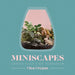 Miniscapes: Create Your Own Terrarium 