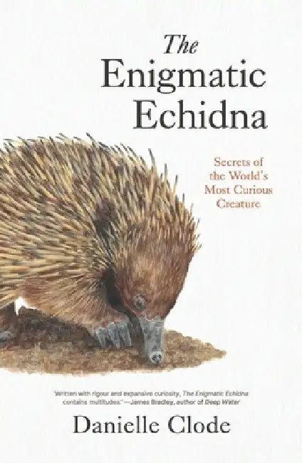The Enigmatic Echidna: Secrets of the World's Most Curious Creature by Danielle Clode