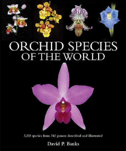 Orchid Species of the World: 3,333 Species from 343 Genera Described and Illustrated by David P. Banks