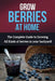 Grow Berries At Home: The complete guide to growing all kinds of berries in your backyard! by Steve Ryan