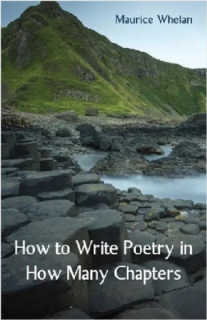 How to Write Poetry in How Many Chapters by Whelan, Maurice