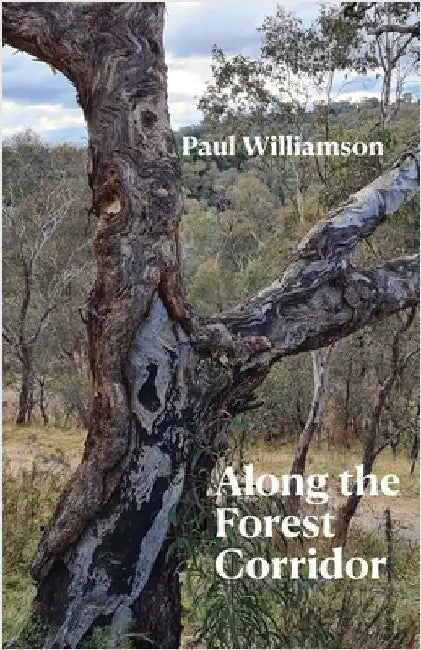 Along the Forest Corridor by Williamson, Paul