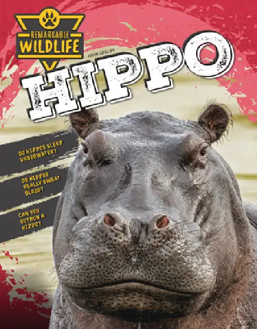 Hippo by John Lesley