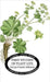First Studies of Plant Life by Atkinson, George Francis
