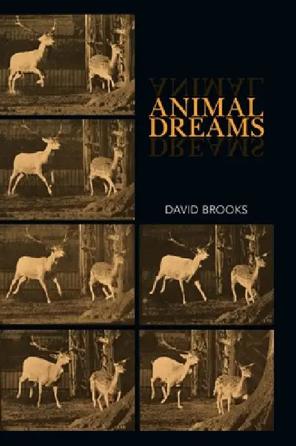 Animal Dreams by David Brooks