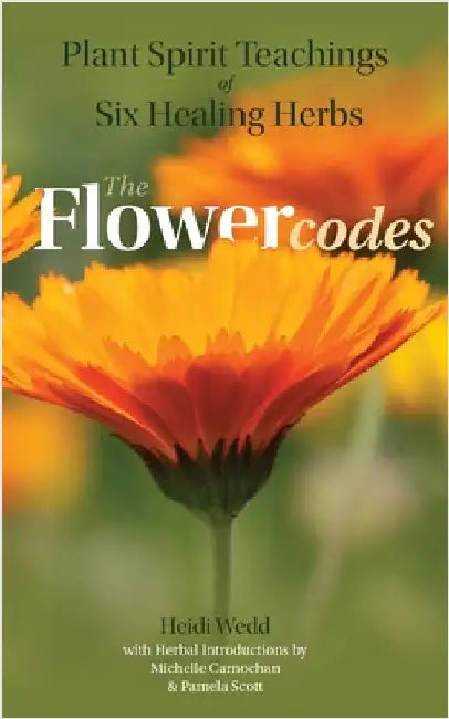 Plant Spirit Teachings of Six Healing Herbs by Wedd, Heidi