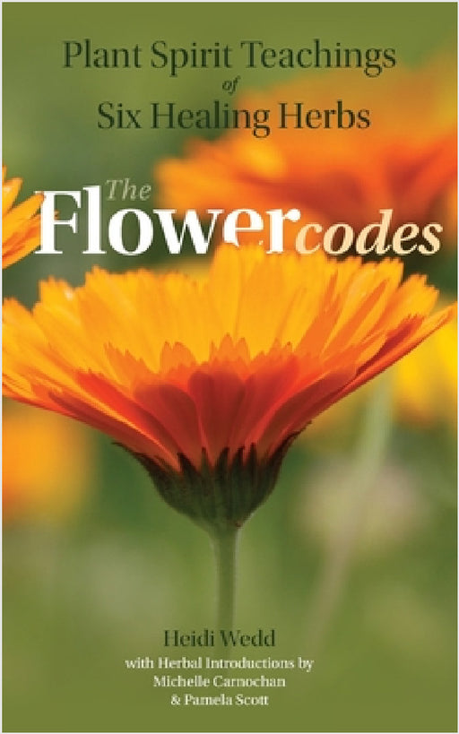 Plant Spirit Teachings of Six Healing Herbs by Heidi Wedd, Pamela Scott, Michelle Carnochan