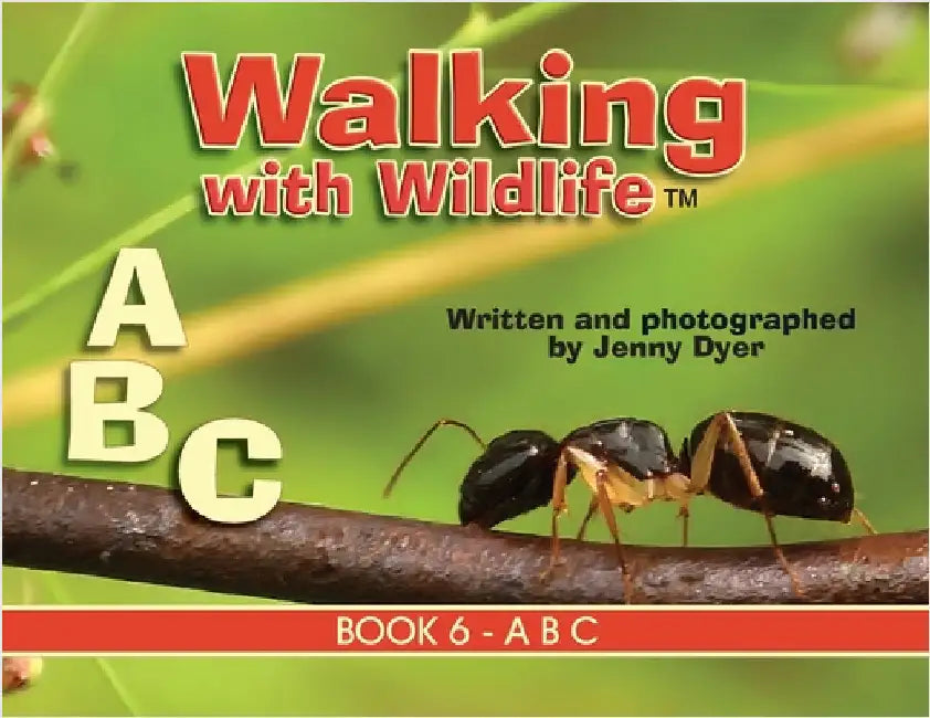 Walking with Wildlife - Book 6: A B C by Dyer, Jenny