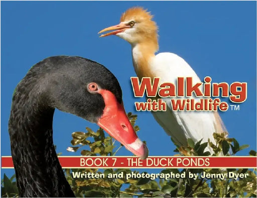 Walking with Wildlife - Book 7: The Duck Ponds by Dyer, Jenny