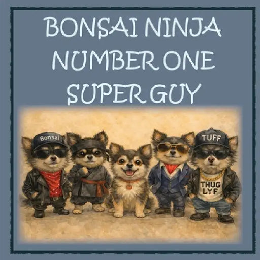 Bonsai Ninja - Number One Super Guy! by Chris Anne Moore