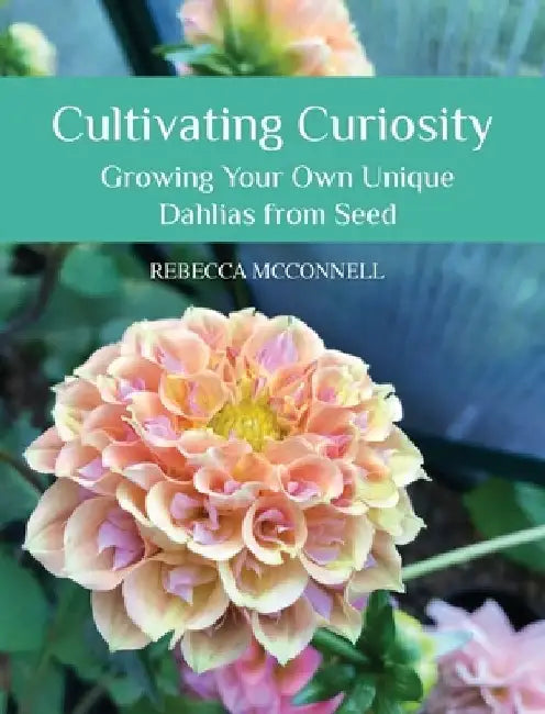 Cultivating Curiosity: Growing Your Own Unique Dahlias from Seed by Rebecca McConnell