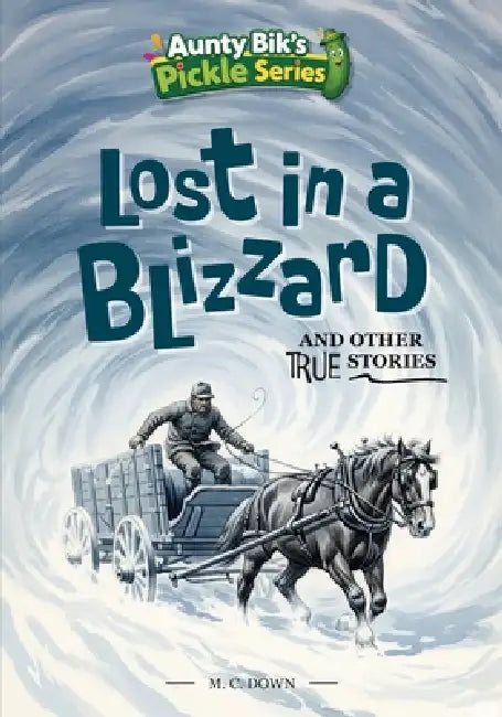 Lost in a Blizzard and other true stories by Michelle Down