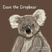 Davo the Dropbear by Kate Green