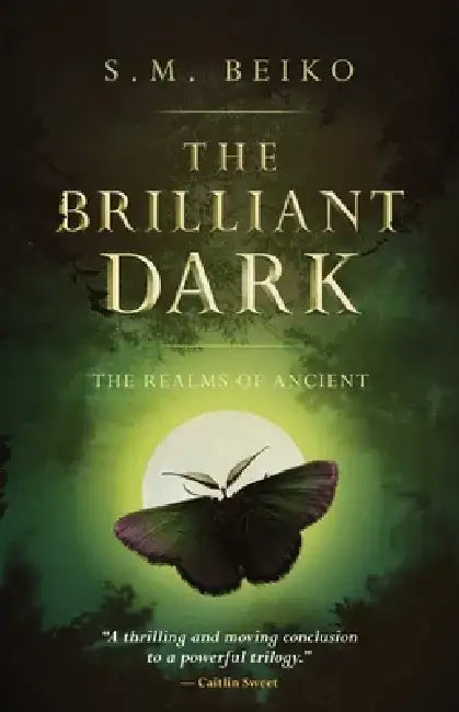 The Brilliant Dark: The Realms of Ancient, Book 3 by S. M. Beiko