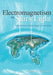 Electromagnetism in Stars Light: Returning to Earth Again Interacting by Janett Lee Wawrzyniak