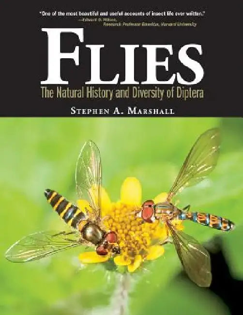 Flies by Stephen A. Marshall