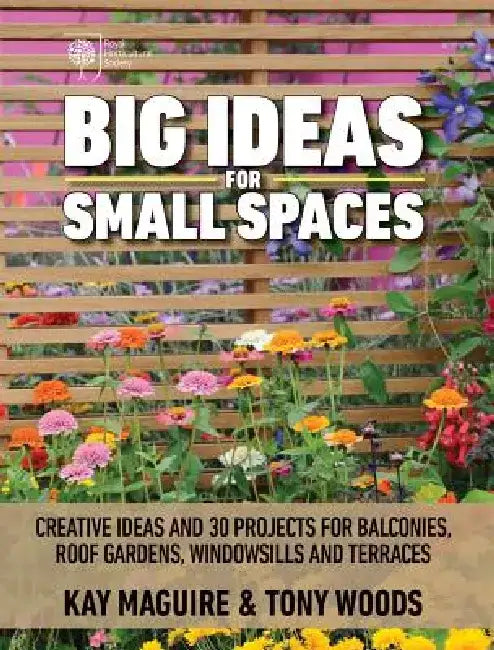 Big Ideas for Small Spaces: Creative Ideas and 30 Projects for Balconies, Roof Gardens, Windowsills and Terraces by Kay Maguire
