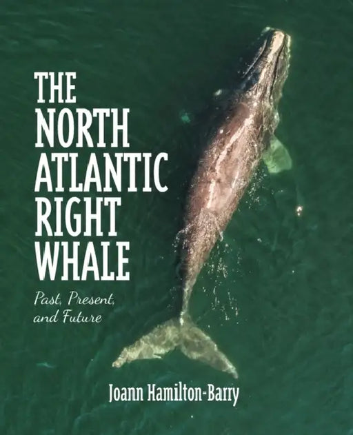 The North Atlantic Right Whale: Past, Present, and Future by Joann Hamilton-Barry