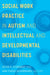 Social Work Practice in Autism and Intellectual and Developmental Disabilities by Kevin P. Stoddart, Ann Fudge Schormans