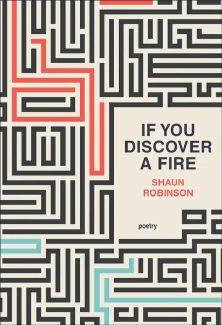If You Discover a Fire by Shaun Robinson