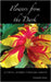 Flowers from the Dark: A Poetic Journey Through Cancer by Elizabeth Eede