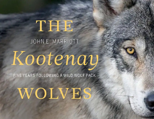 The Kootenay Wolves: Five Years Following a Wild Wolf Pack by John E. Marriott