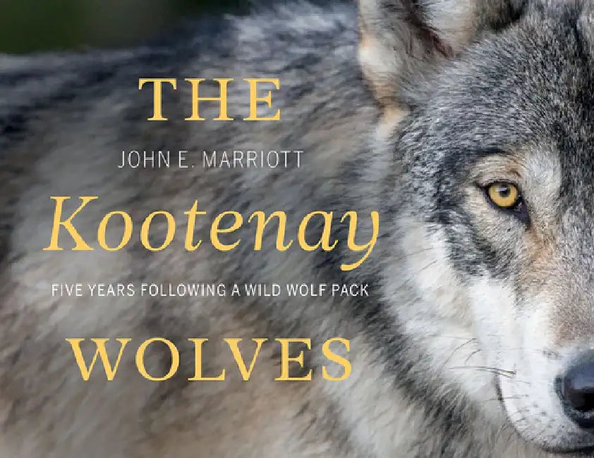 The Kootenay Wolves: Five Years Following a Wild Wolf Pack by John E. Marriott