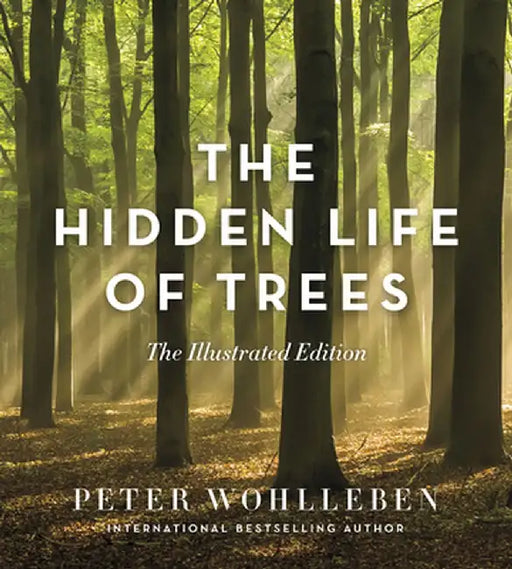 The Hidden Life of Trees: A Visual Celebration of a Magnificent World by Peter Wohlleben