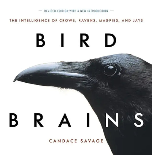Bird Brains: The Intelligence of Crows, Ravens, Magpies, and Jays by Candace Savage