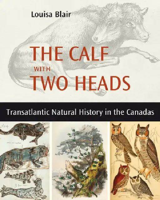 The Calf with Two Heads: Transatlantic Natural History in the Canadas by Louisa Blair