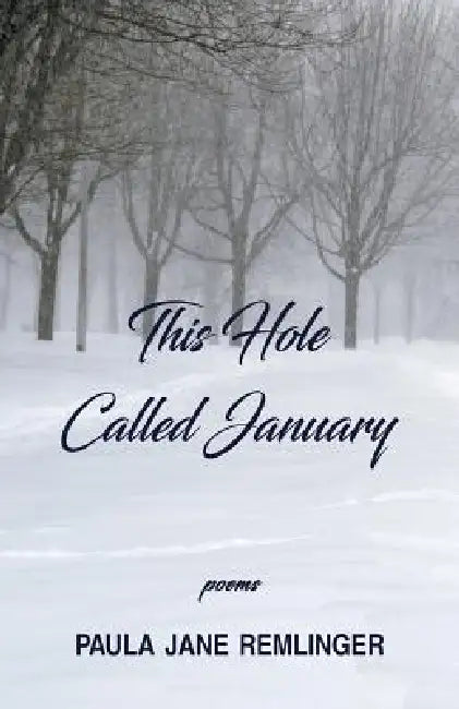 This Hole Called January by Paula Jane Remlinger