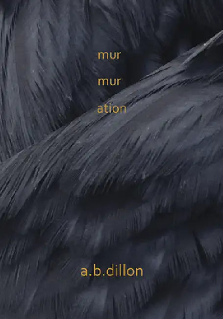 Murmuration by A. B. Dillon