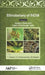 Ethnobotany of India, Volume 2: Western Ghats and West Coast of Peninsular India by T. Pullaiah