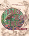 Explore the Rocky Shore with Sam and Crystal by Gloria Snively, Karen Gillmore