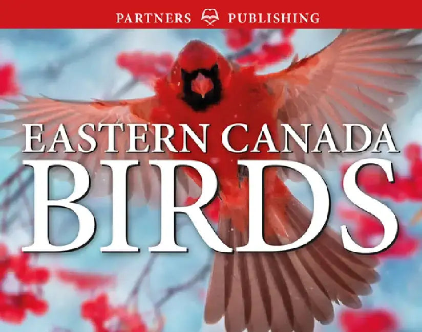Eastern Canada Birds: Pocket Guide by Krista Kagume