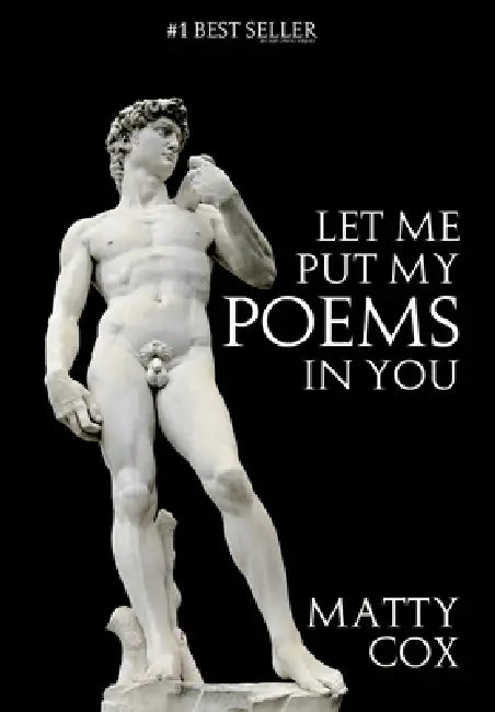 Let Me Put My Poems In You: Love! Sex! Comedy! Prejudice? by Matthew James