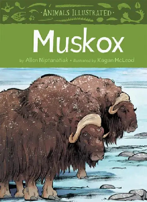 Muskox by Allen Niptanatiak