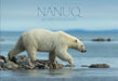 Nanuq: Life with Polar Bears by Paul Souders