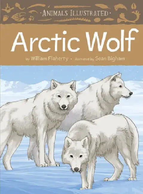 Arctic Wolf by William Flaherty