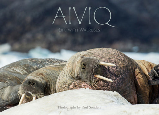 Aiviq: Life with Walruses by Paul Souders